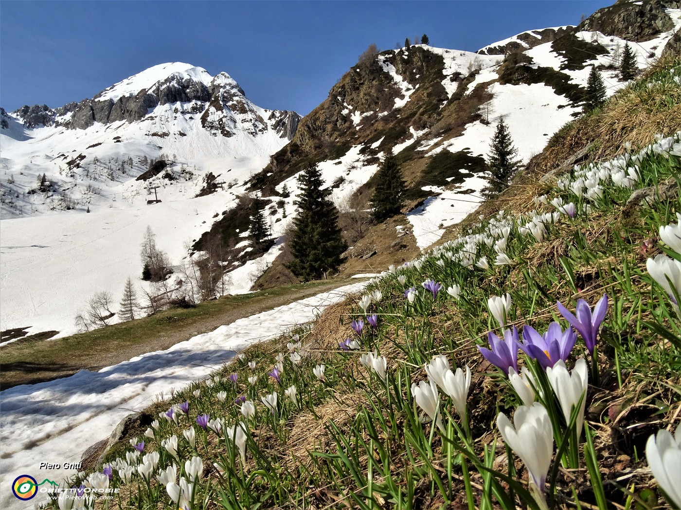 22 Dalla Baita del Camoscio ora salgo al Passo di San Simone sul sent. 115  .JPG